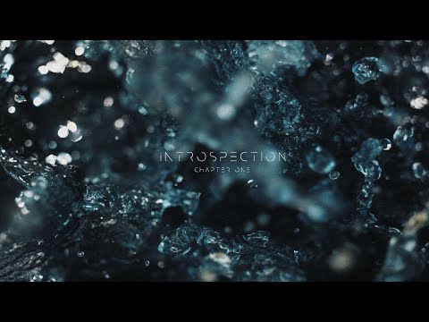 iNTROSPECTION - Flowry Selections (KREAM - MEDUZA - Gorgon City - Biscits - AYDEN LOYDE) [House Mix]