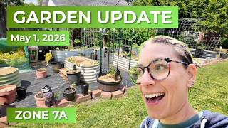 GARDEN UPDATE! 🌱 | May 1, 2026 | Zone 7a | Huntington, WV