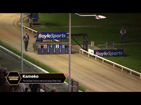 Kameko - The Michael Fortune Memorial Derby Plate Final