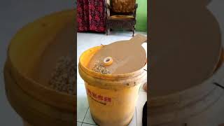 Download lagu mencoba bikin jebakan tikus mp3 Download lagu mencoba bikin jebakan tikus mp3