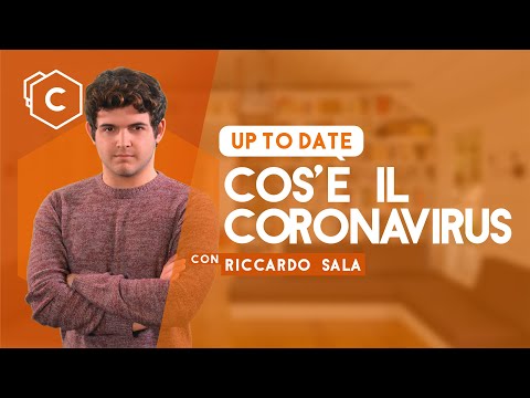 Cos'è il Coronavirus: storia di epidemie