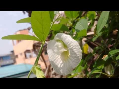 AWESOME PICTURE TAKEN IN MOBILE | YOU WONT BELIEVE YOUR EYES | SELVA KUMAR