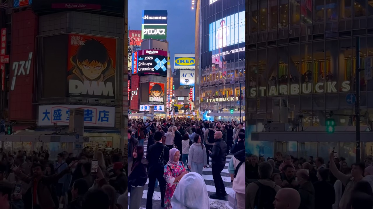Hi!SHIBUYA!✨ #shorts #shibuyacrossing #nightwalk