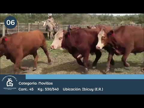 Lote NV - Ibicuy E Rios