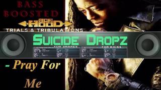 Pray For Me - Ace Hood (Bass Boosted)