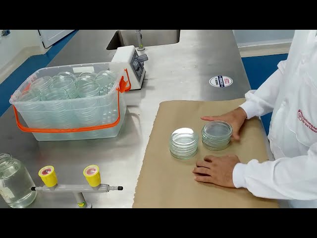 Vídeo relacionado con Labsales - Platos Petri de plástico estéril transparente sin revestimiento con ventilación y tapa, placa Petri de 90 mm x 15 mm de diámetro para experimentos de laboratorio y ciencia, estériles y no