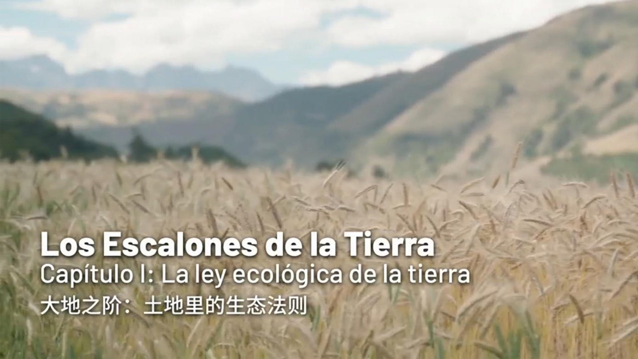 Los Escalones de la Tierra I: La ley ecológica de la tierra