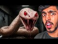 I Got Chased By GIANT SNAKE