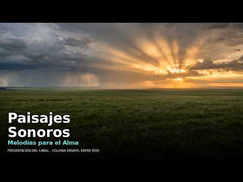 Presentación del canal