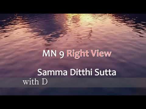 MN 9 Samma Ditthi Sutta with Delson Armstrong at DSMC