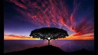 Download lagu Afro House Mix 2020 with Black Coffee | Da Capo | Manoo | Themba | Caiiro - 'KLSdj - African Child' mp3