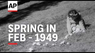 Spring in Feb - 1949 | The Archivist Presents | #430