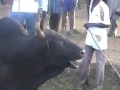 Best Of Luhya Music Luchimiri By Naftali Shitoka