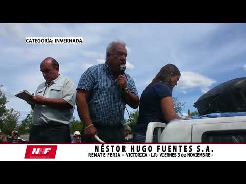 DE FRENTE AL CAMPO junto al SECTOR PRODUCTIVO PAMPEANO -REMATE NHF -VICTORICA-