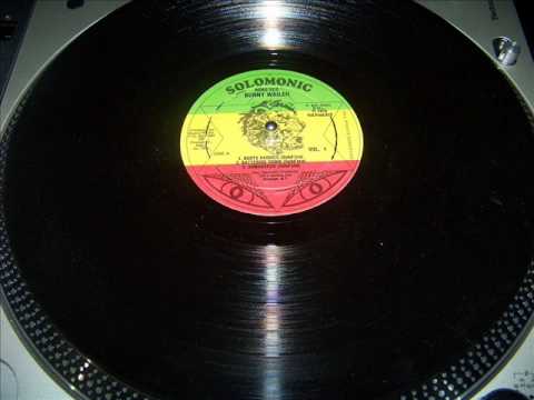 Bunny Wailer - Roots Radics Rockers Dub Dub Disco Vol 1 LP - Dubiwse Selecta