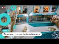 Woede over hotel met ijsberen in China