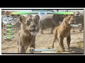 Elephant Stampede With Healthbars