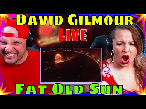 reaction to David Gilmour - Fat Old Sun (Live At Pompeii) THE WOLF HUNTERZ REACTIONS