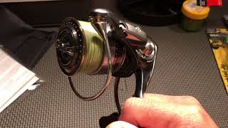 Daiwa steez spin