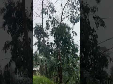 Saliendo de la provincia de San Miguel, Cajamarca