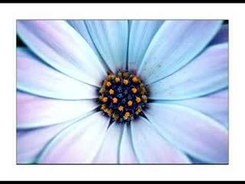Ten Sharp - You - acoustic