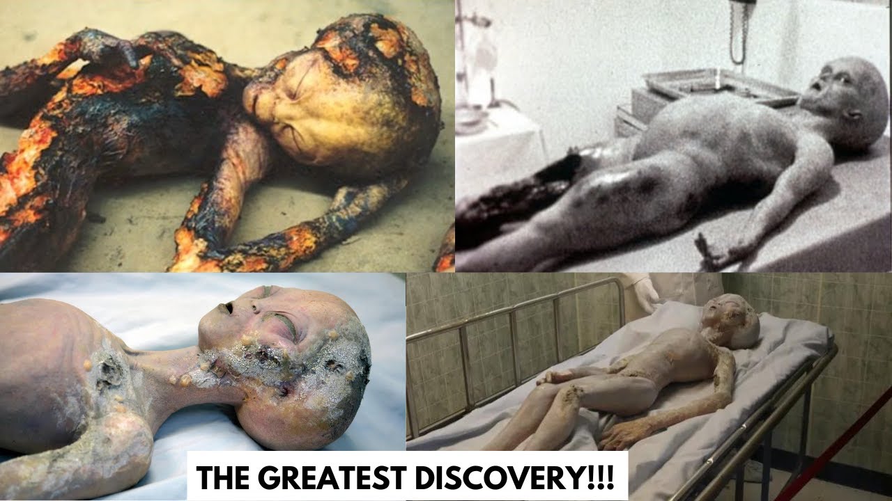 YouTube Thumbnail Downloader FULL HQ IMAGE