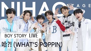 Download lagu [4K CPOP] BOYS’ Refreshing Story Starts NOW【NIHAO Stage丨BOY STORY《Huh哈?!(What's Poppin)》LIVE】 mp3