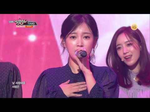 티아라 (T-ARA) - TIAMO (띠아모) Comeback Week Mix 무대모음 교차편집