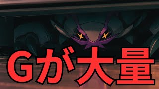 Gが大量発生しました