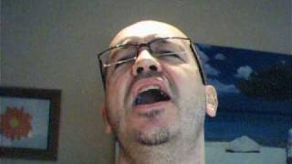 Lip Dub Harvey Danger Flagpole Sitta