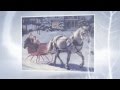 CAROLE KING sleigh ride