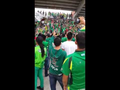 "Dale alegría monstruo a mi corazón" Barra: Fúria Verde &bull; Club: Marathón