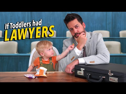 If Toddlers Had Lawyers ft. @DudeDad