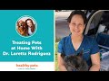 Treating Pets at Home With Dr. Loretta Rodriguez