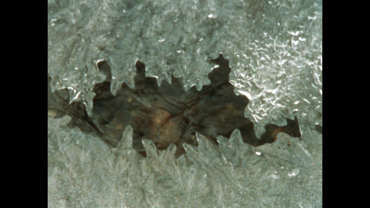 Winter's End (Super 8)