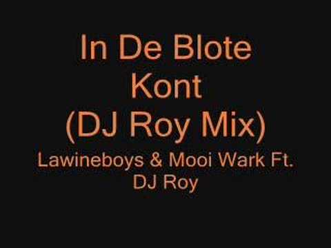 Lawineboys & Mooi Wark Ft. DJ Roy - In De Blote kont