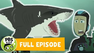 Wild Kratts FULL EPISODE! | Stuck on Sharks | PBS KIDS