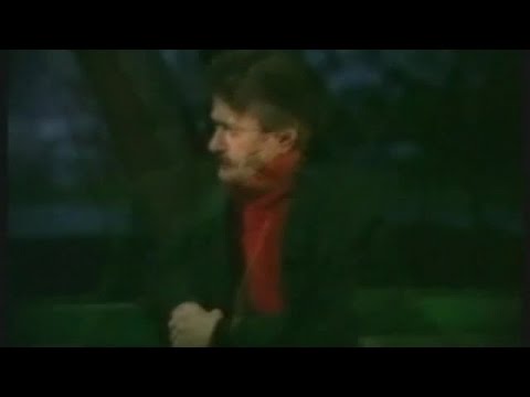 Hüseyin Altın - Hasret Akşamları