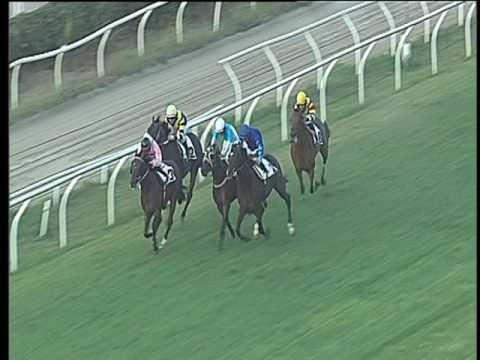 Galoppo 09/08/2017 - 4ª corsa