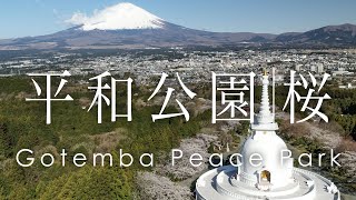 空撮 平和公園 仏舎利塔と富士山と桜 | Mt.Fuji from Gotemba Peace Pagoda