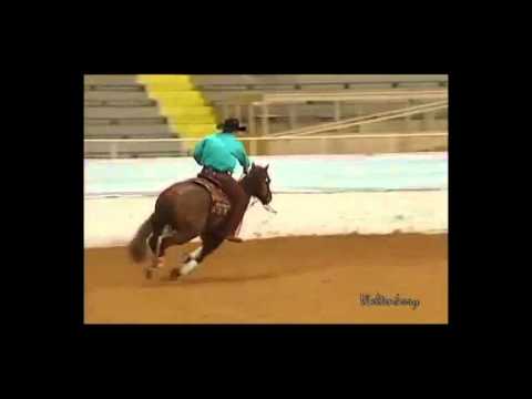 TINSELTOWNSMOKINGUN (Gunner x Miss Tinseltown)