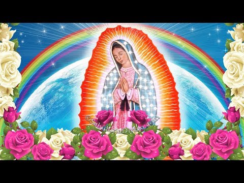 download lagu mp3 mp4 Del Cielo Bajo Del Cielo Bajo La Guadalupana Letra, download lagu Del Cielo Bajo Del Cielo Bajo La Guadalupana Letra gratis, unduh video klip Download Del Cielo Bajo Del Cielo Bajo La Guadalupana Letra Mp3 dan Mp4 320kbps Gratis