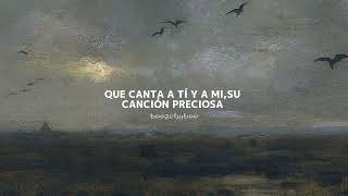 Brindo-Devendra Banhart//letra.