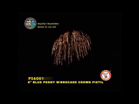 SB150PE09 - 6 INCH SHELL - WIZARD FIREWORKS - PS6001