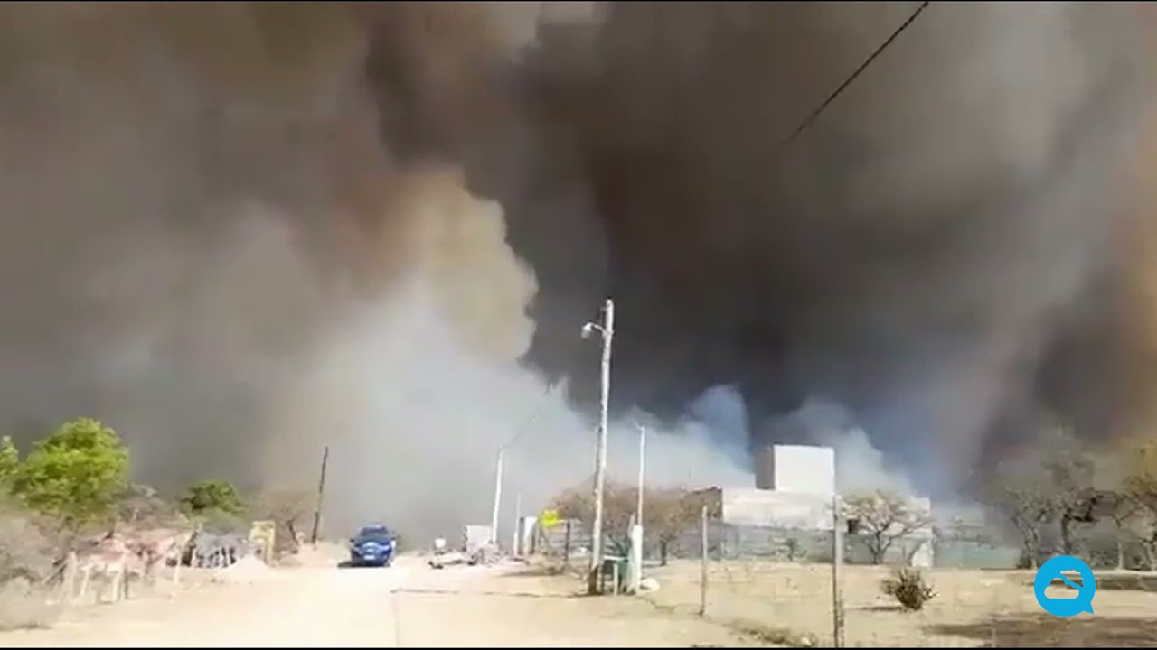 youtube video id=tSCNIEBi31M