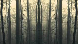 Joakim - Tears (Original Mix) Alignment Records