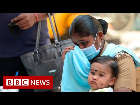 コロナウイルス：コビド-19が女性に与える影響 - BBCニュース (Coronavirus: the impact of Covid-19 on women - BBC News)