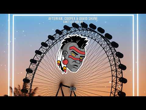 Coopex, Afterfab & David Shane - Can't Let You Go