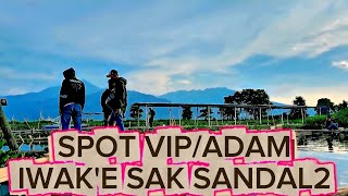 Download lagu Spot mancing rawa pening // mancing rawa pening terbaru mp3 Download lagu Spot mancing rawa pening // mancing rawa pening terbaru mp3