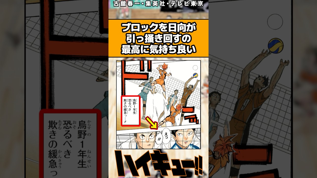 ブロックを日向が引っ掻き回すの最高に気持ち良い#ハイキュー #ハイキュー反応集 #shorts